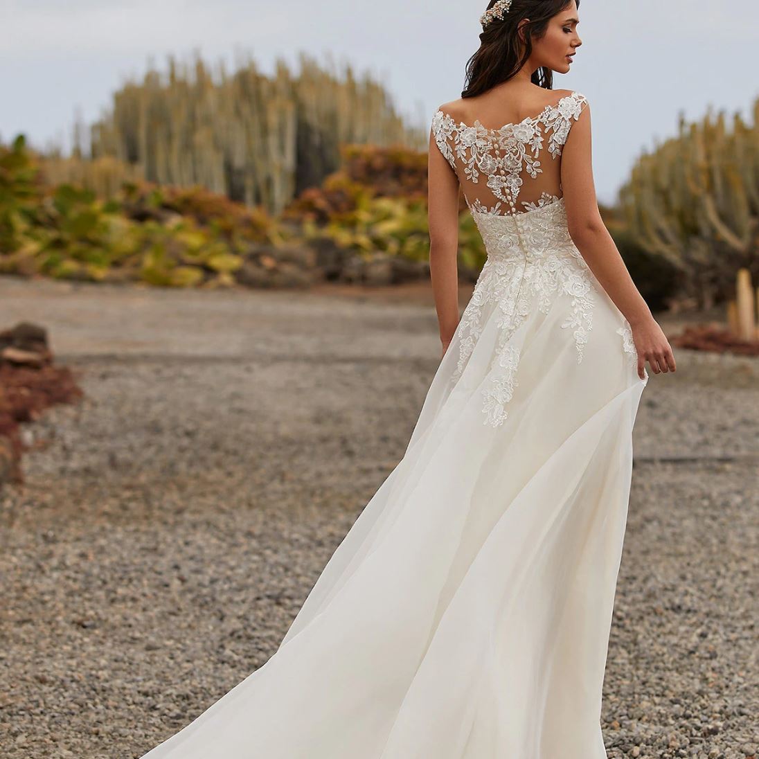 Elegant Open Back V Neck Lace Applique Beach Wedding Dress Classic Wedding Dresses BlissGown 