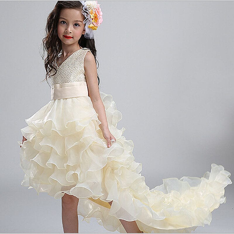 Trailing Ball Gown Bridesmaid Princess Dress Special Occasion BlissGown Champagne 18M 